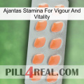 Ajantas Stamina For Vigour And Vitality 26